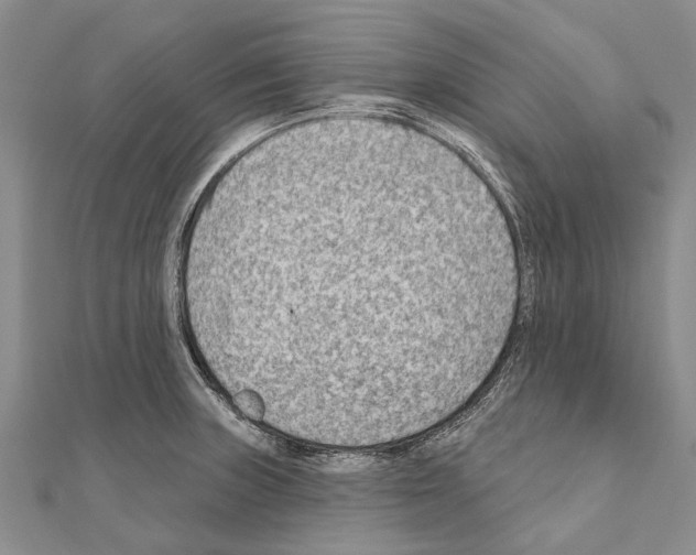 X0000111041235200908061450