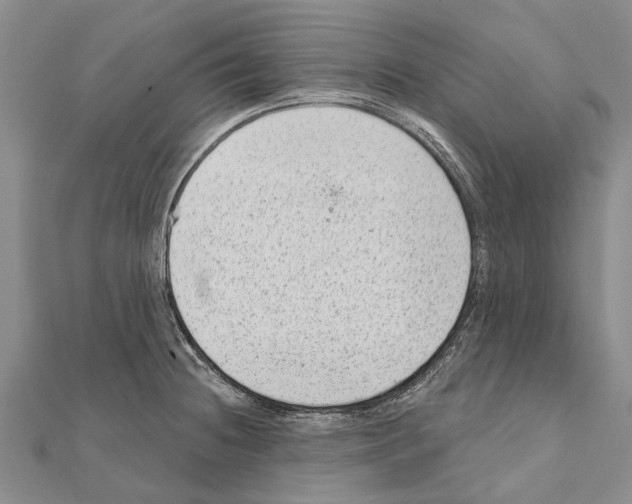 X0000111041236200908061450