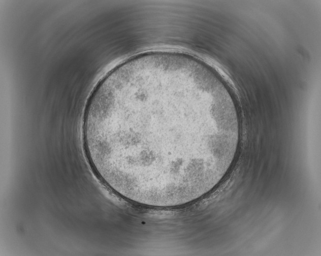 X0000111041237200908061450