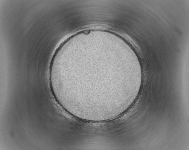 X0000111041240200908061450