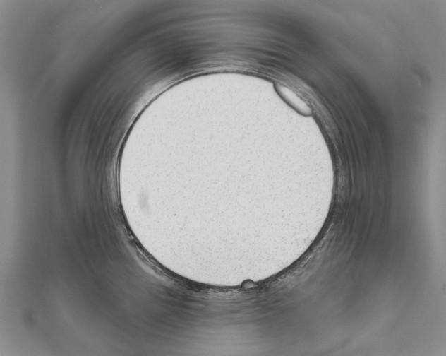 X0000111041242200908061450