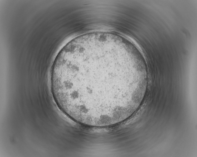 X0000111041243200908061450