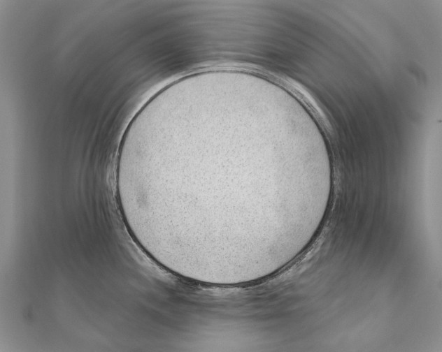 X0000111041244200908061450