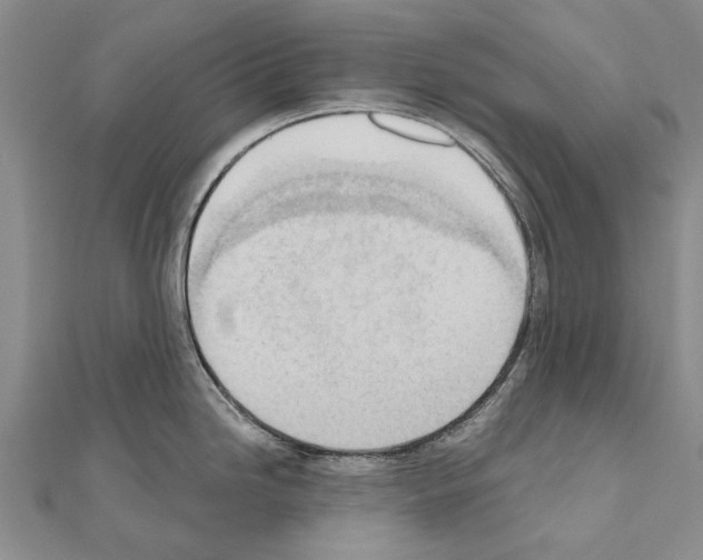 X0000111041246200908061450