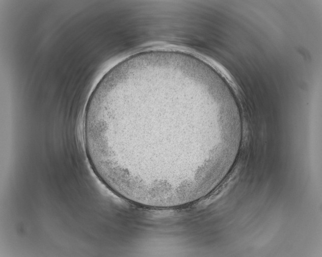 X0000111041247200908061450