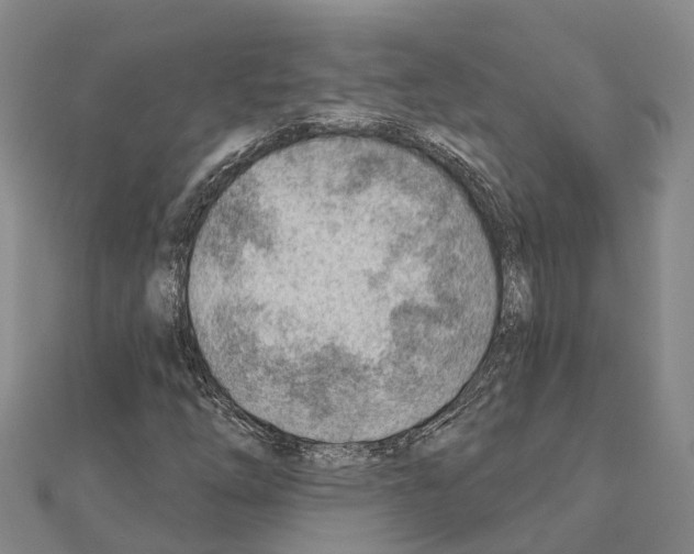 X0000111041254200908061449