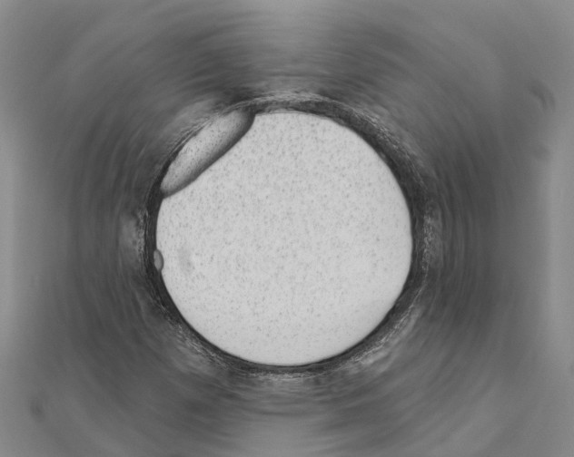 X0000111041257200908061449