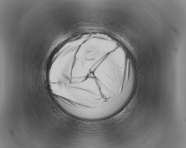 X0000111041261200908061449