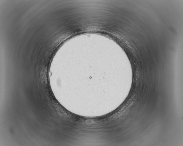 X0000111041265200908061449