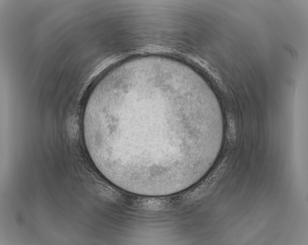 X0000111041266200908061449