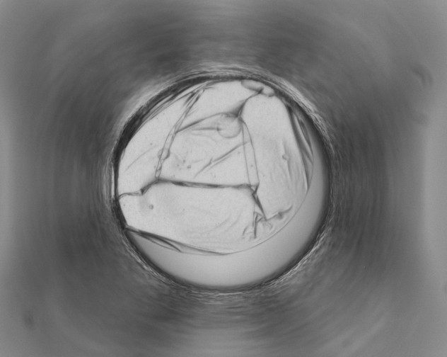 X0000111041269200908061449