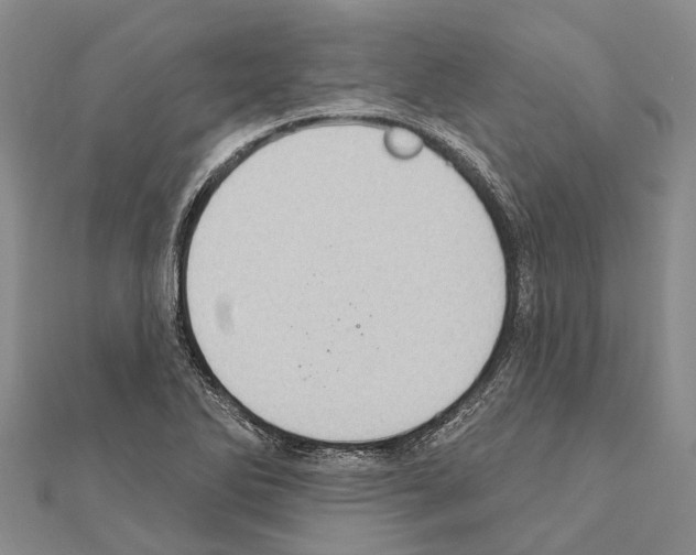 X0000111041270200908061449