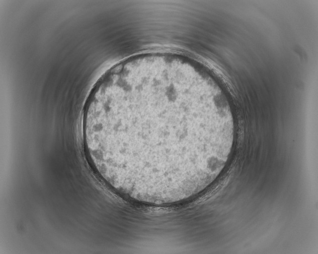 X0000111041275200908061449