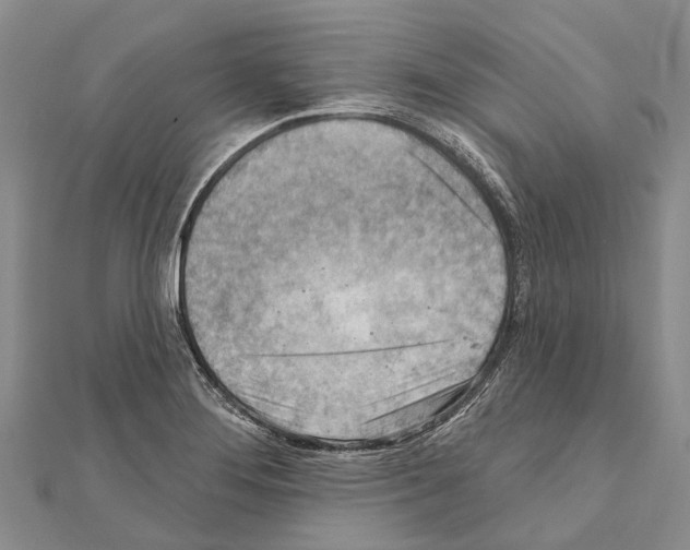 X0000111041276200908061449