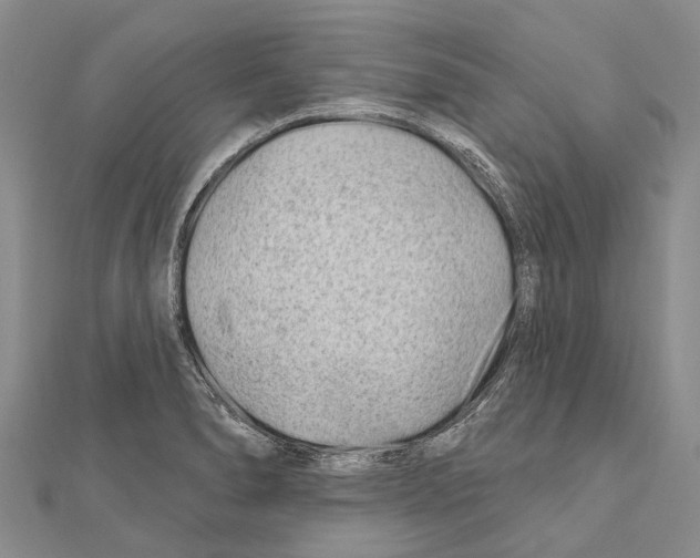 X0000111041278200908061449