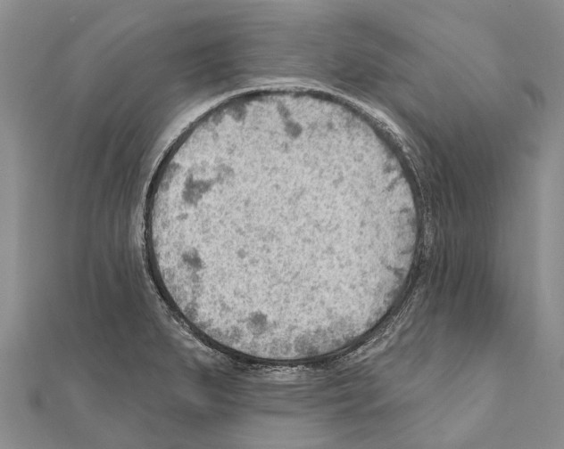 X0000111041279200908061449