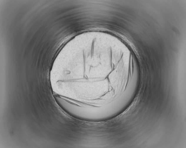 X0000111041281200908061449