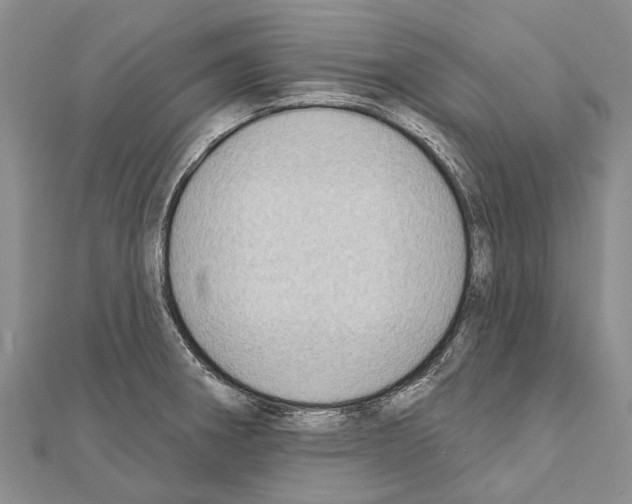 X0000111041282200908061449