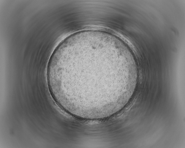 X0000111041283200908061449