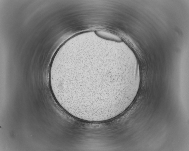 X0000111041284200908061449