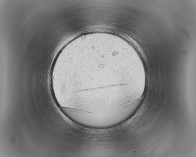 X0000111041285200908061449