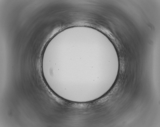 X0000111041286200908061449