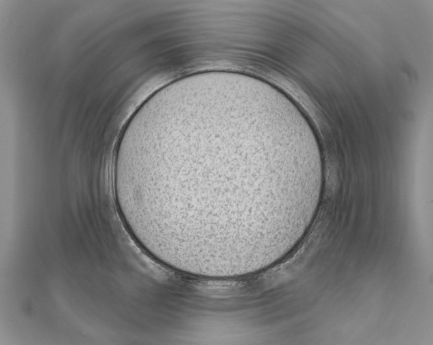 X0000111041290200908061449