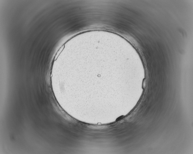 X0000111041296200908061449