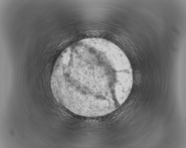 X0000111041297200908061448