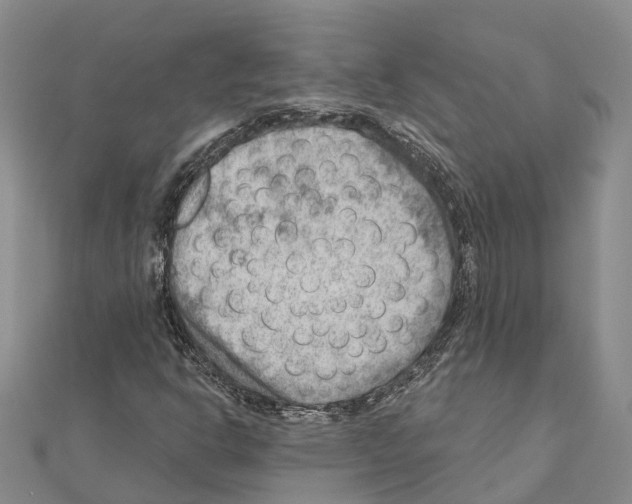 X0000111041302200908061448