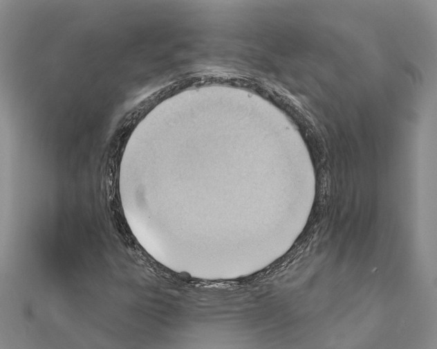 X0000111041303200908061448