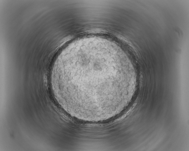 X0000111041305200908061448