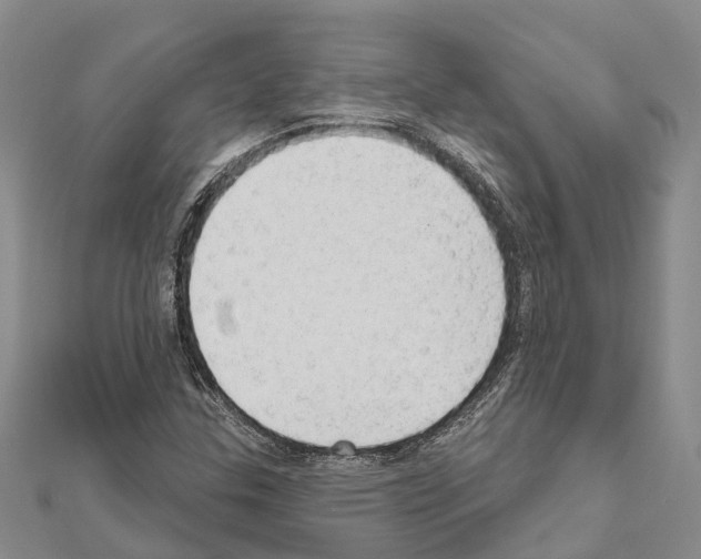 X0000111041307200908061448