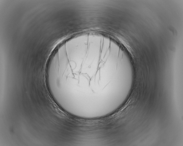 X0000111041308200908061448