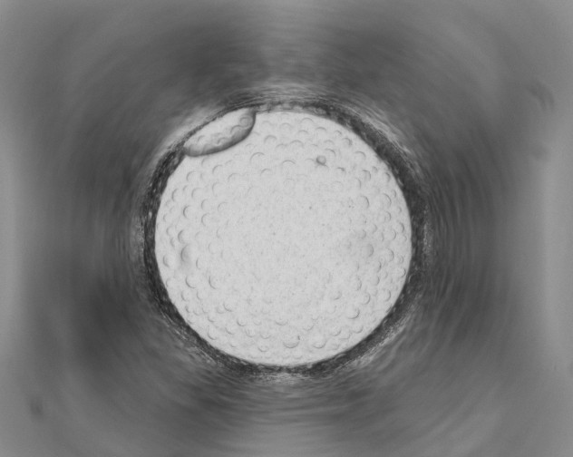 X0000111041309200908061448