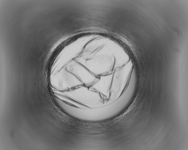 X0000111041310200908061448