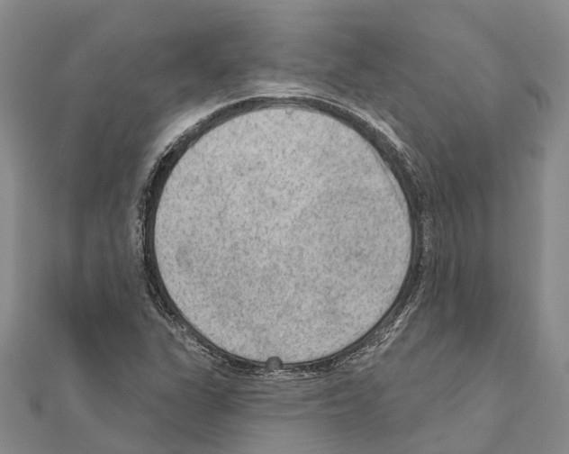 X0000111041311200908061448