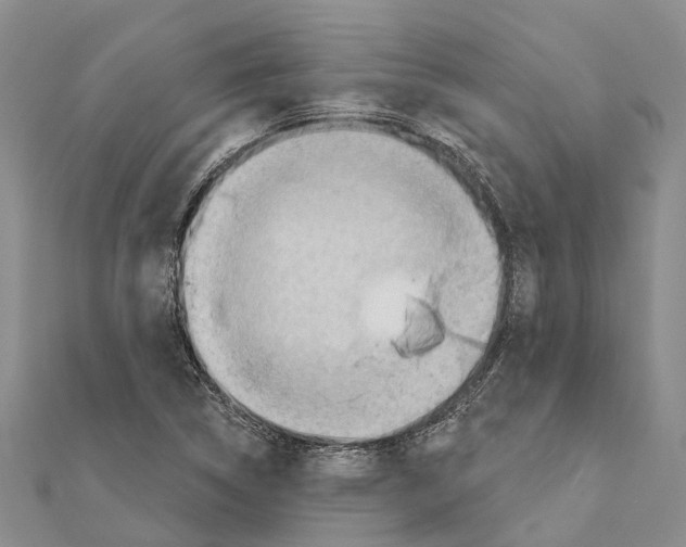 X0000111041314200908061449