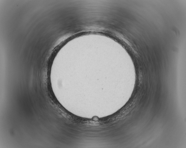 X0000111041315200908061449