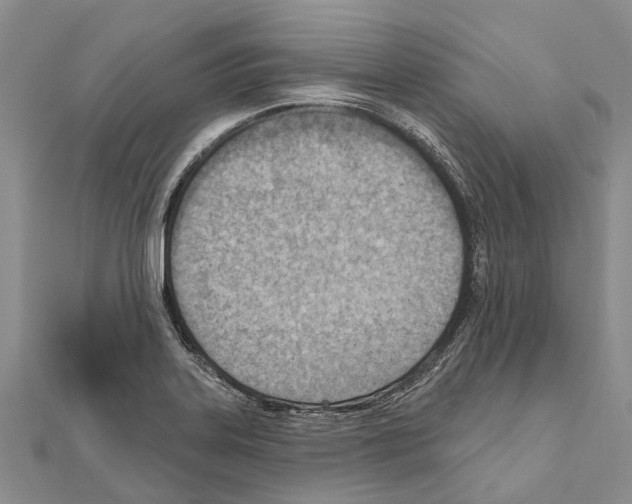 X0000111041323200908061449