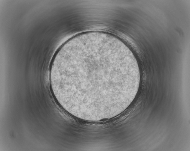 X0000111041324200908061449