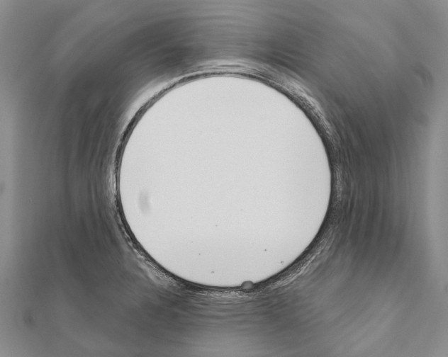 X0000111041328200908061449