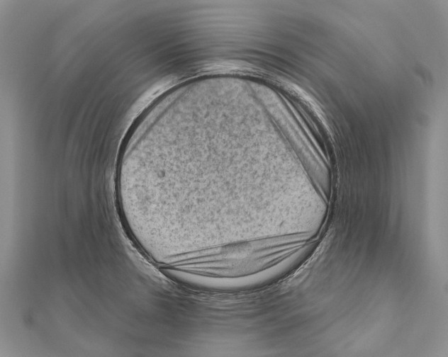 X0000111041330200908061449