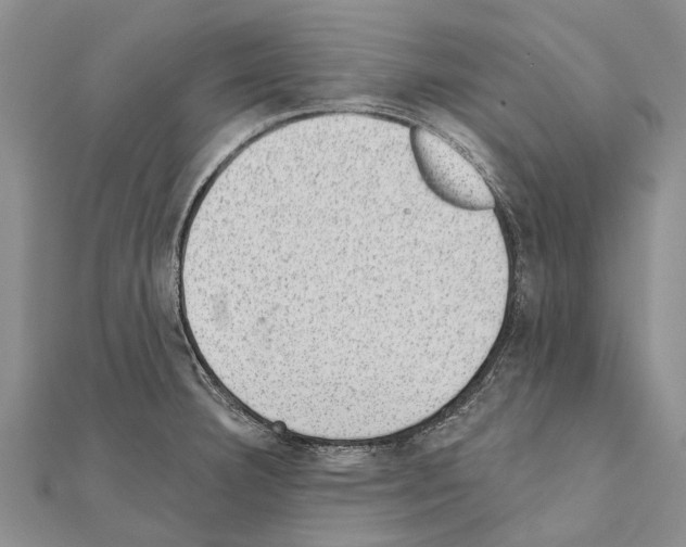 X0000111041332200908061449