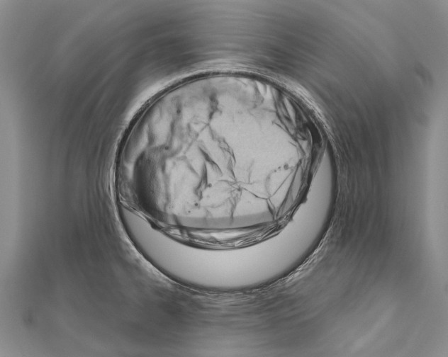 X0000111041334200908061449