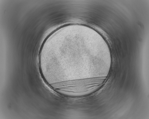 X0000111041335200908061449