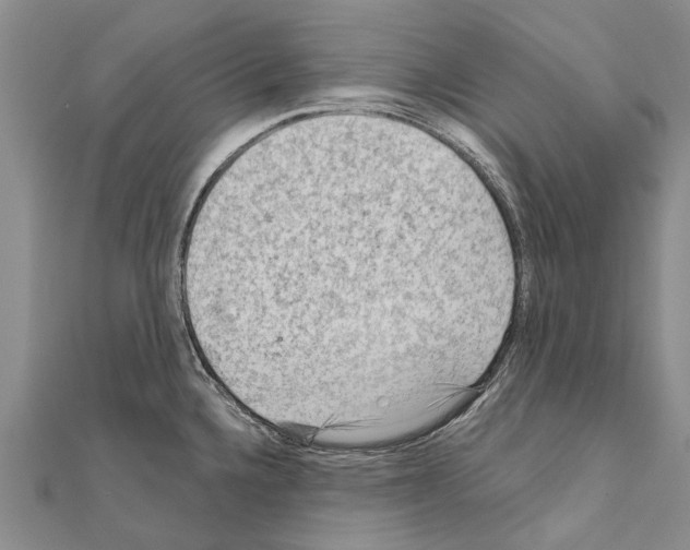 X0000111041336200908061449