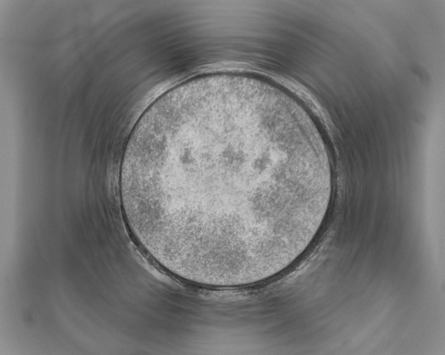 X0000111041337200908061449