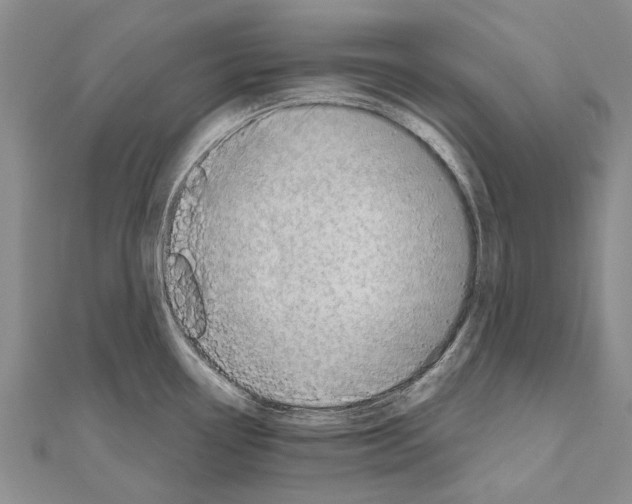 X0000111041338200908061449