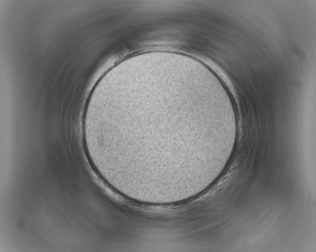 X0000111041341200908061449